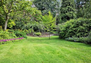 Optimiser l'expérience du jardin à Beaulencourt